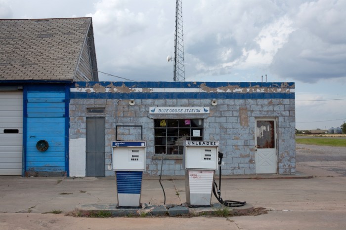 BlueGooseStationWebsite